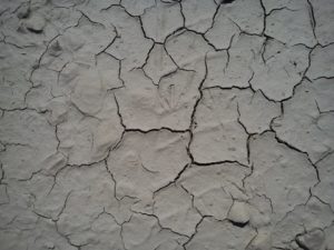 Dry Cracks on Wall